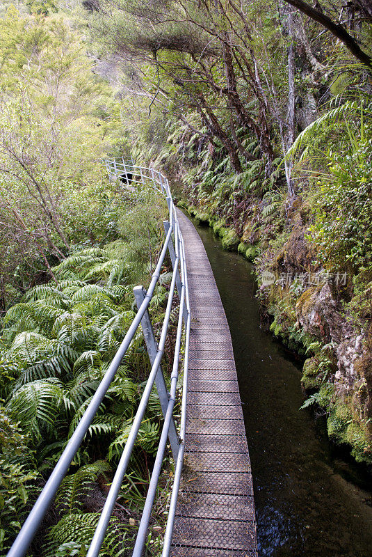 新西兰金湾Pupu Hydro步道